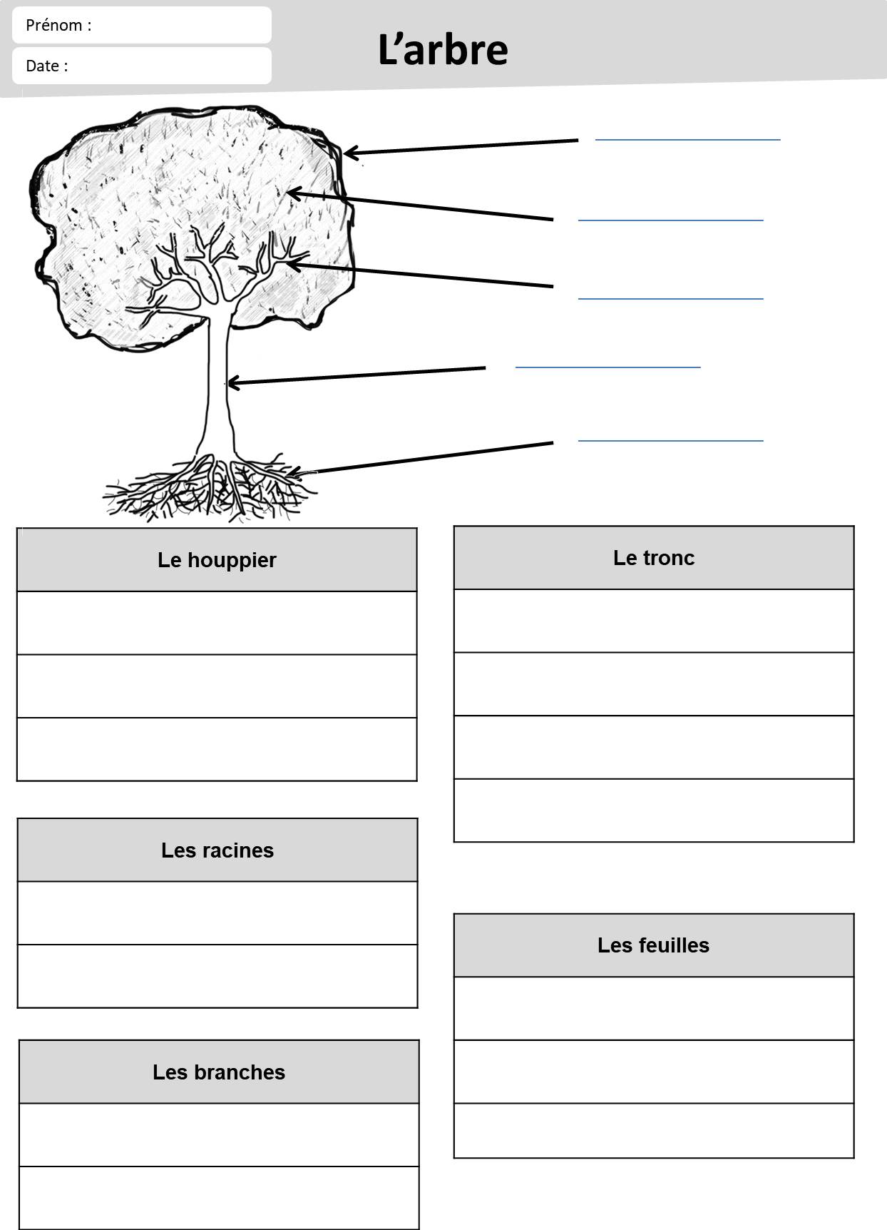 Exercices Feuille Et Arbre - Loustics